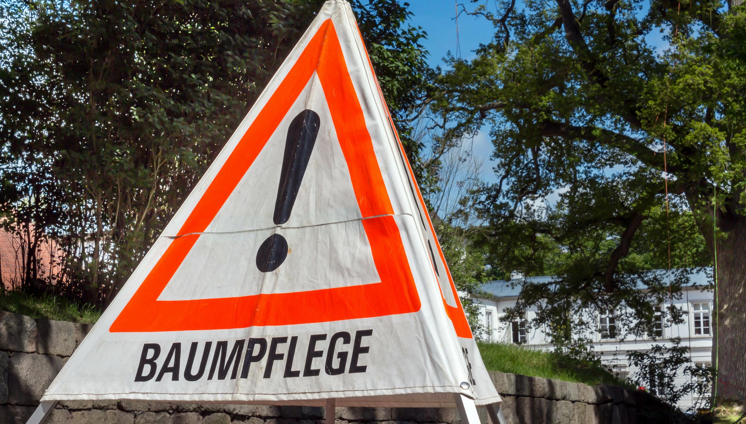 Baumpflege und Baumschnitt