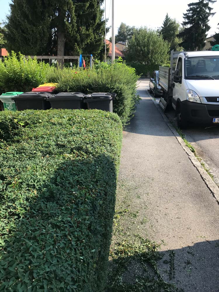 Hecke schneiden